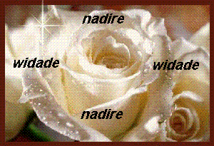 nadire et widade